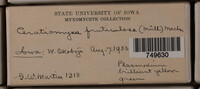 Image Associated With the Occurence